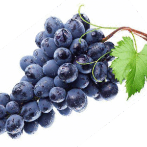 Lambrusco Red Wine Vinegar