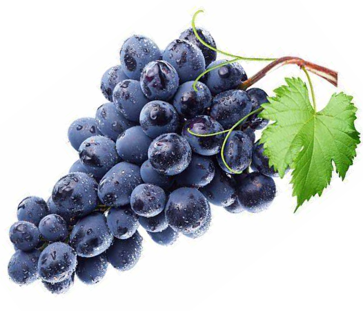 Lambrusco Red Wine Vinegar